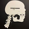 Model Anatomiczny TMJ